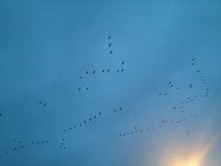 image-20130408214633.png