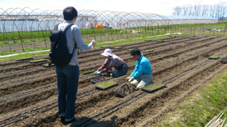 image-20130528225216.png
