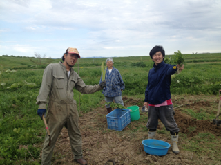 image-20130605220237.png