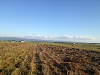 image-20131004231020.png