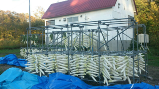 image-20131019225624.png