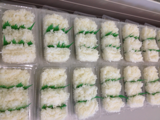 image-20131019225940.png