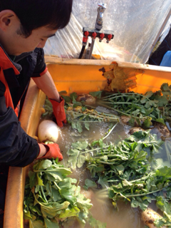 image-20131029213846.png