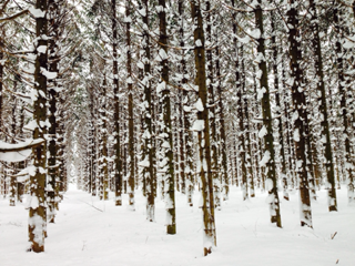 image-20140121210716.png